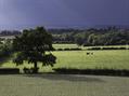 Rew Farm Country Accommodation Gallery (15)